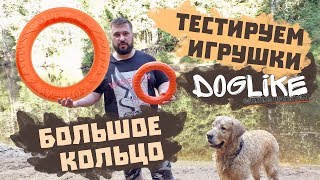 КОЛЬЦО ДОГЛАЙК (Doglike) ДЛЯ СОБАКИ | Тестируем игрушки для собак | Золотистый ретривер | Обзор КОЛЬЦО ДОГЛАЙК (Doglike) ДЛЯ СОБАКИ | Тестируем игрушки для собак | Золотистый ретривер | Обзор