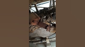 mahindra supro Bs6 DEF error