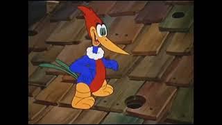 Woody Woodpecker Laugh Sound Effect
