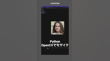 Python OpenCVで顔にモザイクをかける