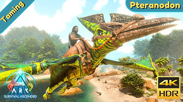 ARK Survival Ascended : Tame a Pteranodon
