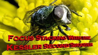 Famous KESSLER FOCUS STACKING TUTORIAL Wealth