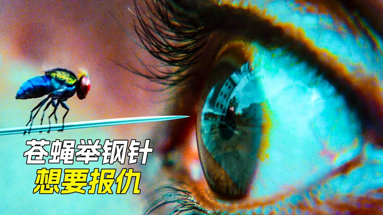 小夥死後變成了蒼蠅，他苦練中國功夫，想要報仇，科幻，奇幻，電影，解說，獵奇，懸疑，超能力