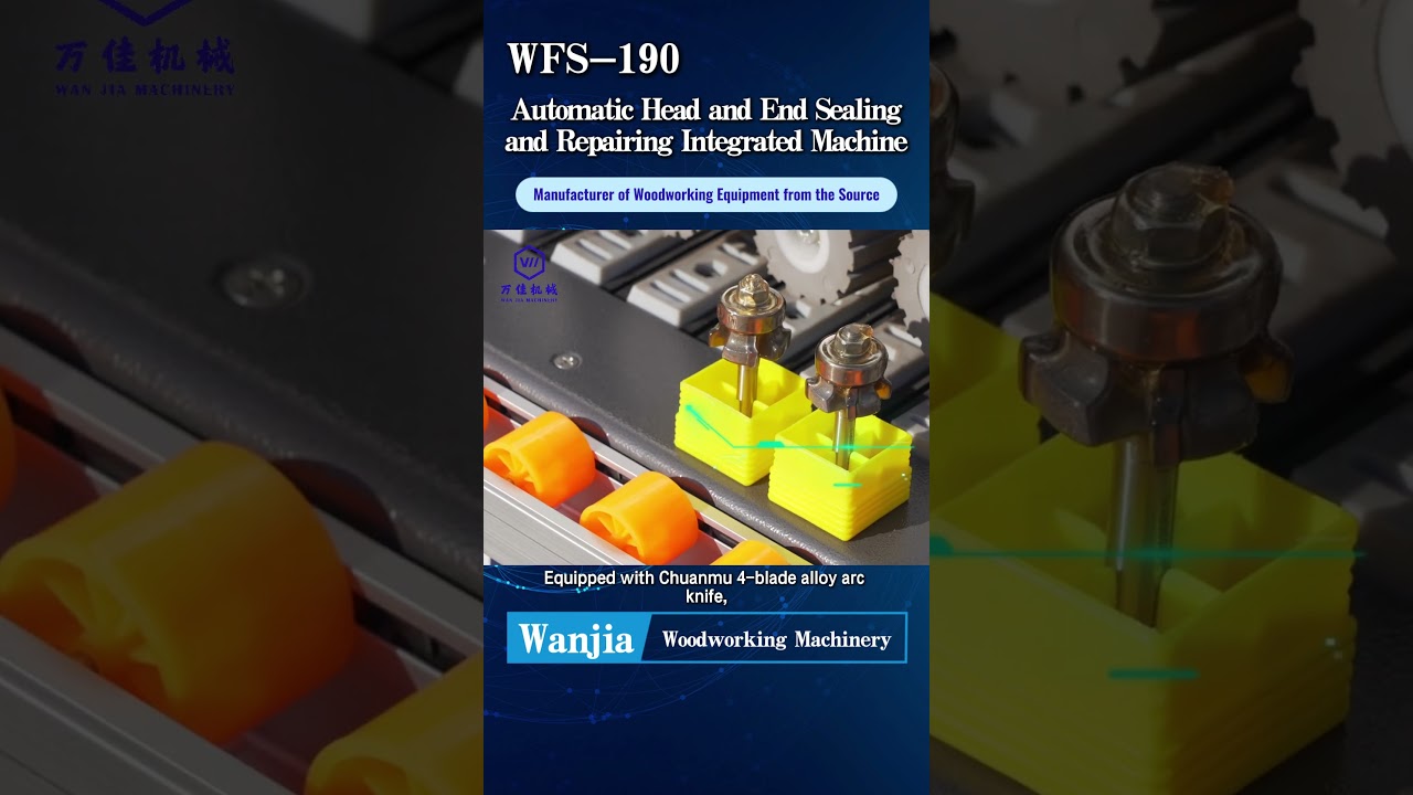 Multifunctional automatic