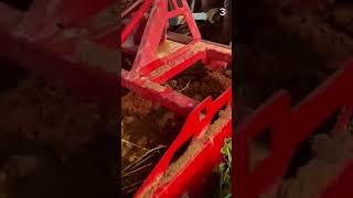 Skill Tingkat Dewa Memanen Kentang Dengan Menggunakan Alat Pertanian Modern