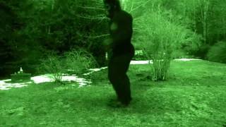 Bigfoot adventures with lw