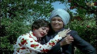 Meri Jhilmil Jhilmil Bindiya song- Mama Bhanja movie | Shammi Kapoor, Randhir Kapoor, Parveen Babi