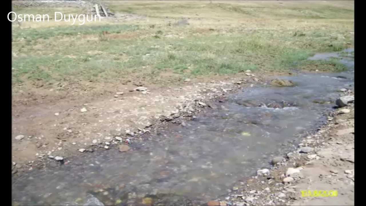 Altınçayır Köyüm- Osman Duygun