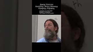 Запертые в рамках | Роберт Сапольски | Полная лекция: @VertDiderScience #наука