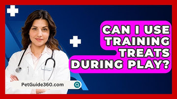 Can I Use Training Treats During Play? - PetGuide360.com