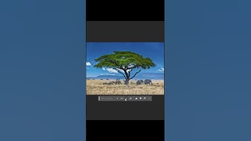 Infinite Zoom With #Photoshop Ai #shorts