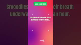 Fun General Knowledge for Kids! 🤓🌍 | Learn in Seconds! Set 36