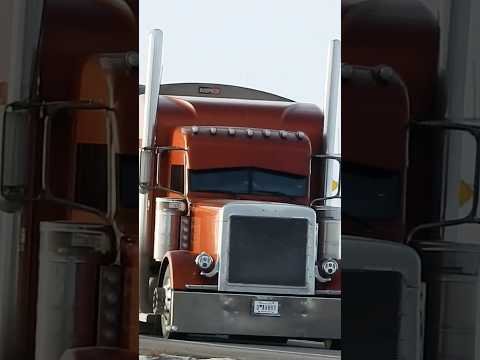 Loud Custom Peterbilt