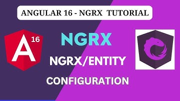 NGRX/Entity configuration | selectId , sorting and multiple properties in state | Nihira Techiees