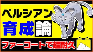 ファーコートの耐久の高さが素晴らしい アローラペルシアン育成論対策 性格 技構築 戦い方 徹底解説 ポケモン育成論 ポケモン剣盾 Youtube