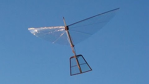 Servo Powered Ornithopter - S1 Robotic Bird - Build from Easy DIY Kit