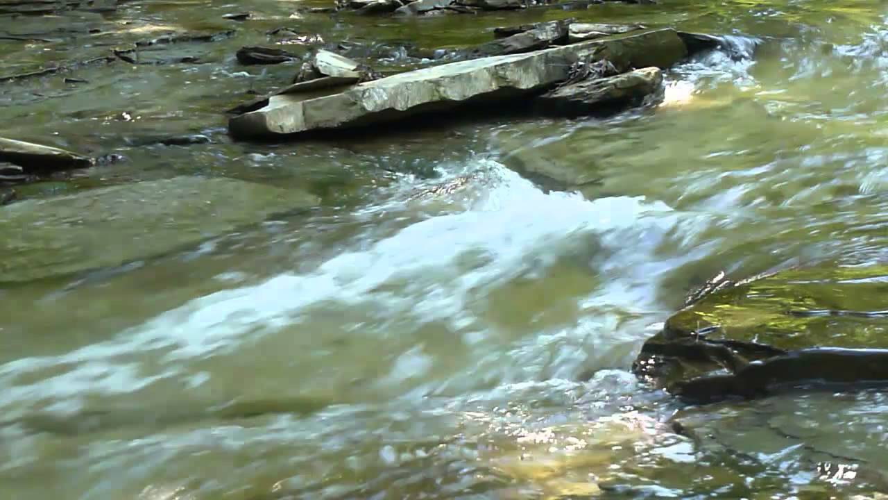 Watch "A Trip to Remember" by IntrepidErie on YouTube Watch "A Trip to Remember" by IntrepidErie on YouTube