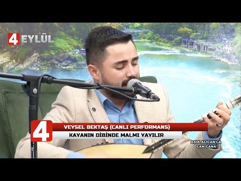 Veysel Bektaş - Kayanın Dibinde Malmı Yayılır !!