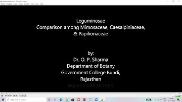 B.Sc.II year Botany Paper II 
