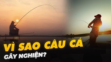 VÌ SAO CÂU CÁ GÂY NGHIỆN?