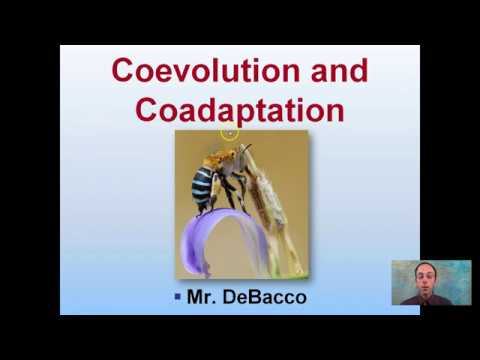 Coevolution and Coadaptation