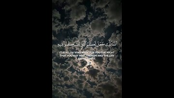 قران كريم #المصحف