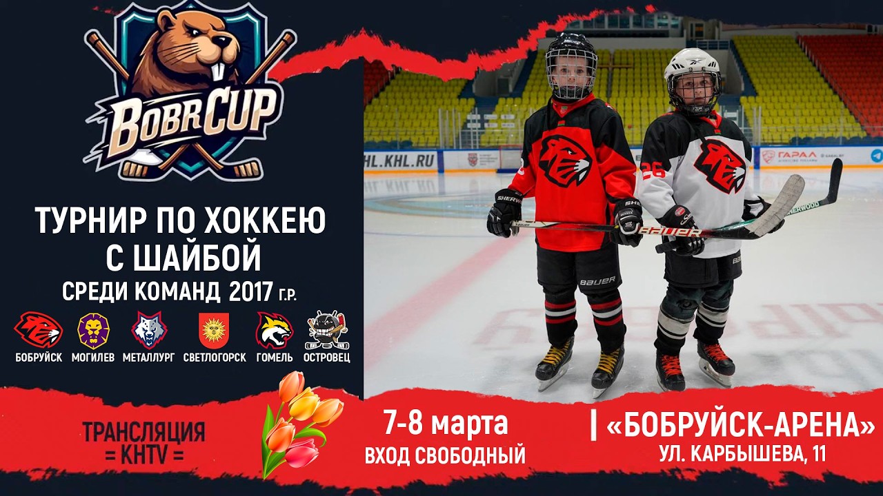 7.03.2026. BC. 2017. ЛС. Гомель-белые - Бобруйск-1