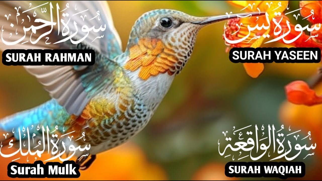 Morning Recitation for Success & Protection💫Start Your Day Blessed Today.Surah Yaseen❤️Rahman❤️