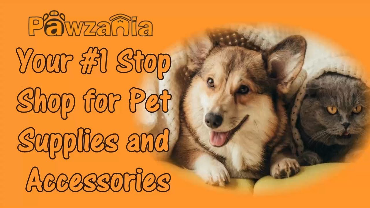 pet supplies and accessories