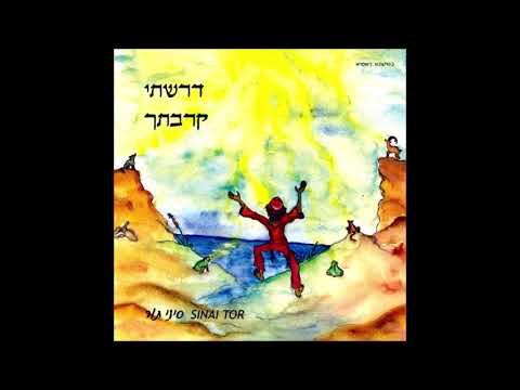 סיני תור בוקר טוב 