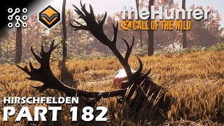 The Hunter: Call of the wild CZ | 3 EXTRA JELENI na Hirschfeldenu - #182 | Česky