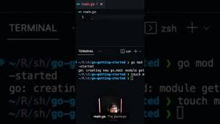 Creating a Hello World #golang program in under 60 seconds! • #shorts #programming screenshot 4