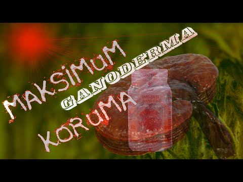 Gano Excel Ganoderma Kapsül Nedir, Nasıl Kullanılır, Faydaları Nelerdir. Türkçe - Engelsiz Video