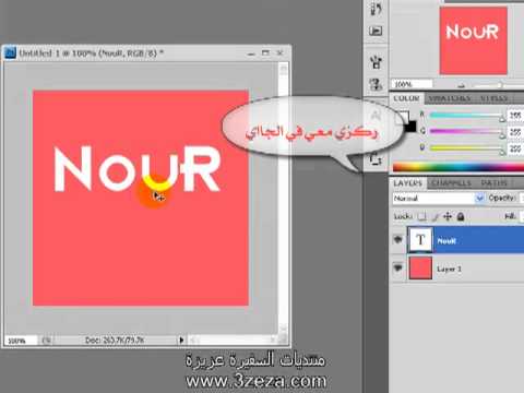 انعكاس النص