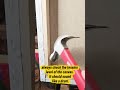 tips for painting | oil on canvas