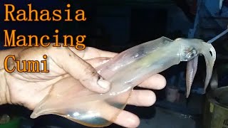 Cara Mancing Cumi di Laut Biar Hasilnya Banyak