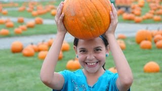 Pumpkin picking long island - The Fall Farm Festival 2014