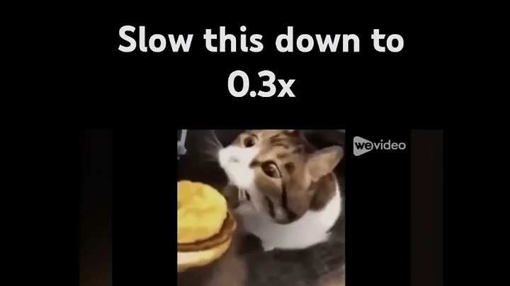 Slow this down to 0.3x! #viral  #pets #cheeseburger #youtubeshorts