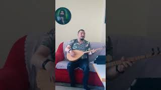 Volkan Koştu - Ararlar Beni 2018