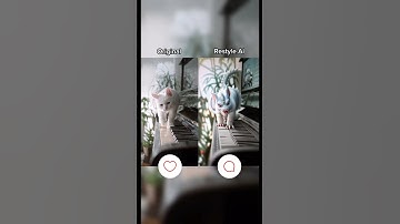 It’s time to choose🤩Original or Restyle Ai🤔#zoomerangapp #zoomerangai #viral #ai #trend #aitools
