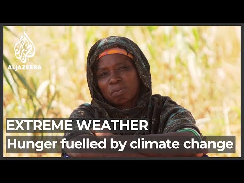 Extreme weather leads to rise in conflict in Sahel