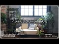 【IGTV】インテリアグリーンの飾り方～アーバンスタイル編