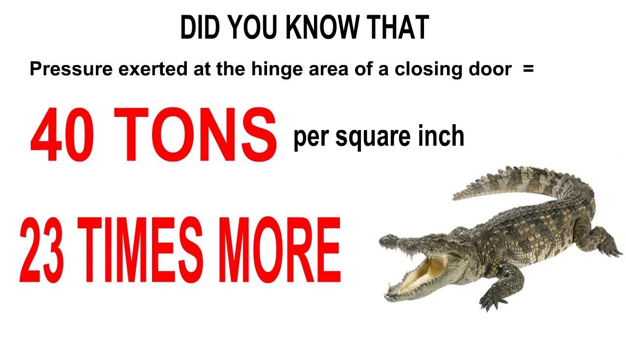 How to Prevent Door Injuries?