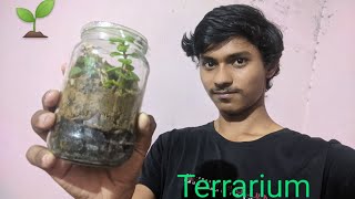 Terrarium Part 2 || let's Complete this || SCIENTIST