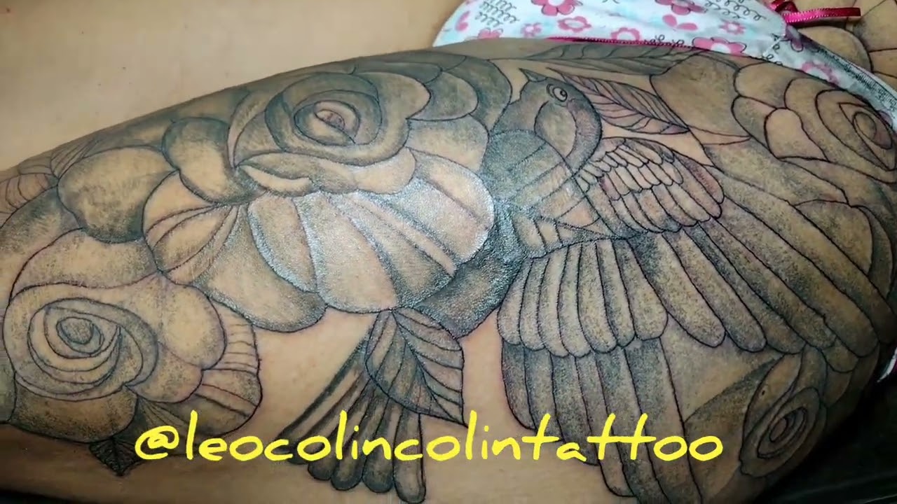 Tatuagem de pÃ¡ssaros rosas tattoo lindas borboletas tattoo