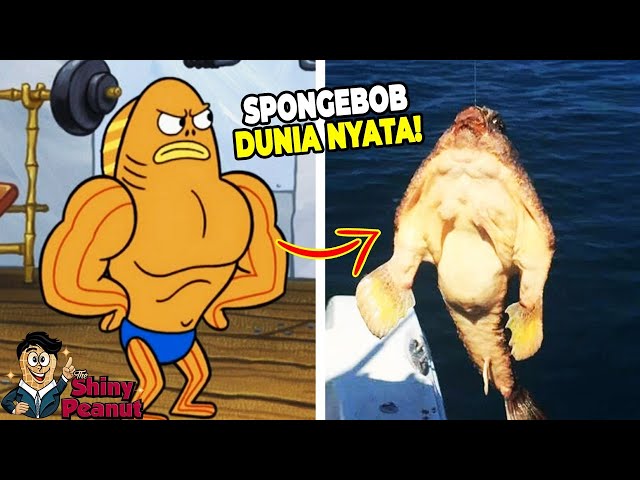 Aslinya Beneran Kekar?! Inilah Karakter Film SpongeBob di Dunia Nyata class=