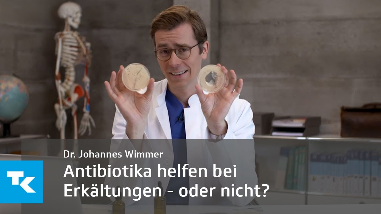 Antibiotika \u0026 Darmgesundheit: Wie der Darm während der Antibiotika-Therapie geschützt werden kann