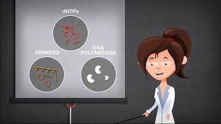 Basics of PCR screenshot 4