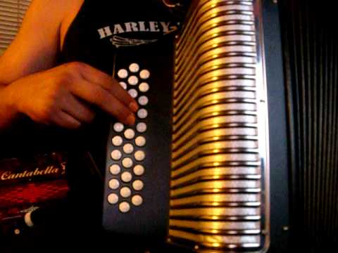 escala de do en terceras acordeon de sol hohner panther principiante ...