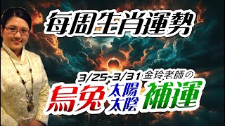 烏兔太陽太陰日開運。2024生肖運勢週報|3/253/31|金玲老師(有字幕)